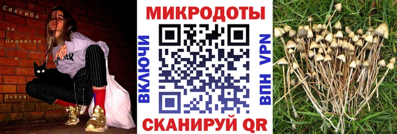 Галлюциногенные грибы Magic Shrooms  купить закладку  Калязин 